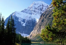 里弗斯社区对所谓的连环杀人和器官摘取的担忧